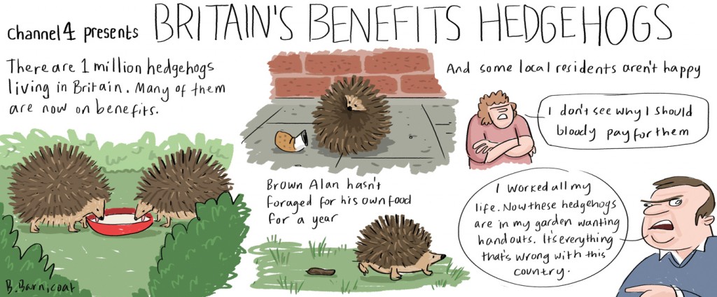 Benefits-hedgehogs-22-5-15