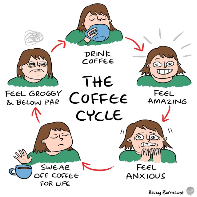 The coffee cycle